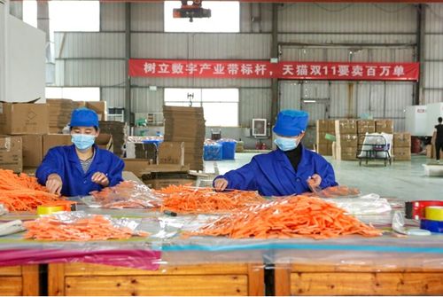 全球最大的小商品產業(yè)帶義烏,全力備戰(zhàn)天貓雙11